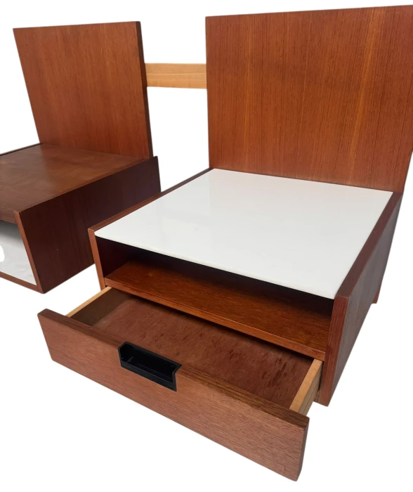 Two EU/NU-11 Japanese Series Wall Cabinets by Cees Braakman for Pastoe, 1958